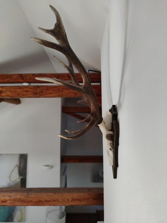 Saegemuehle Eschachthal Leilighet Buchenberg  Eksteriør bilde